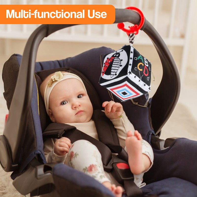 Multi-Sensory Developmental Toy Kit