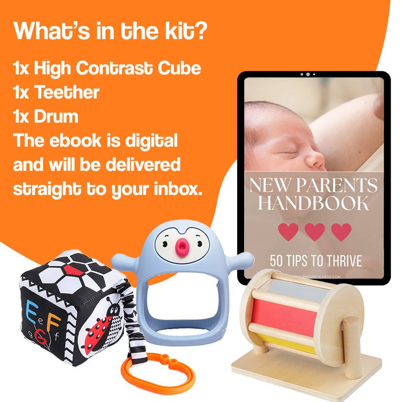 Multi-Sensory Developmental Toy Kit