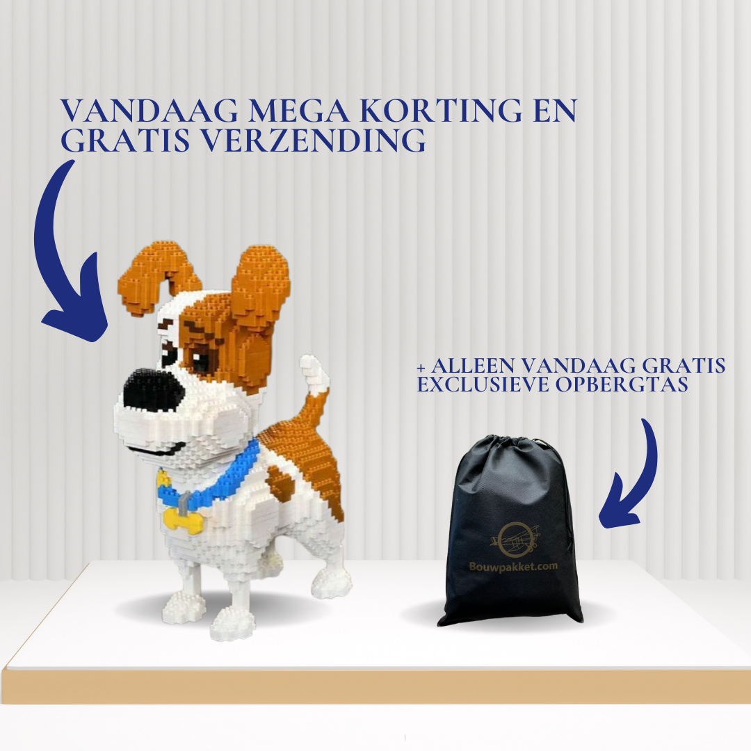 Beagle Dog | Building Blocks