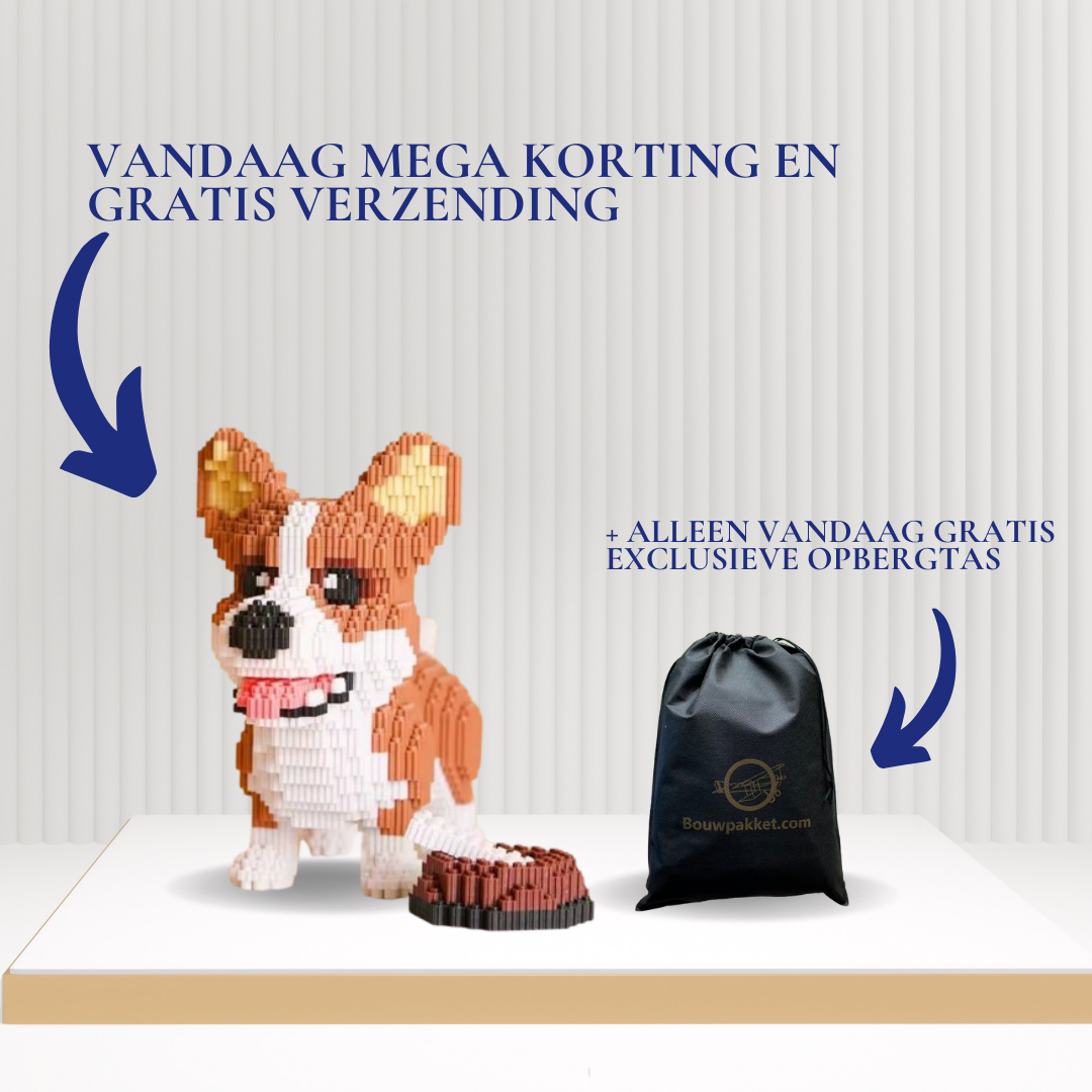 Welsh Corgi | Building Blocks