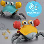 Crawling Helper Crab