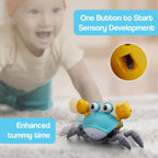 Crawling Helper Crab