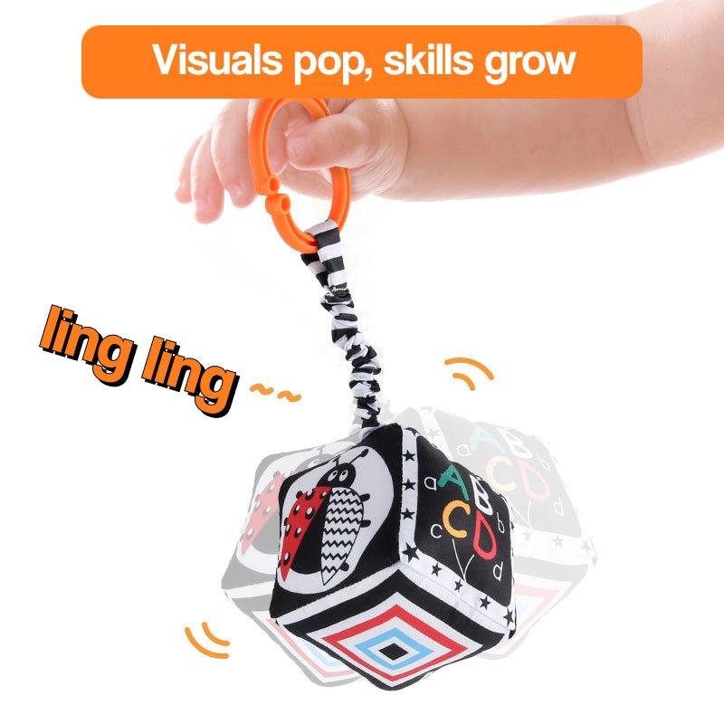 Multi-Sensory Developmental Toy Kit