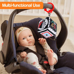 Multi-Sensory Developmental Toy Kit