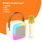 Family Fun Karaoke Machine