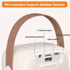 Family Fun Karaoke Machine