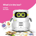i-Learn & Play Interactive Robot