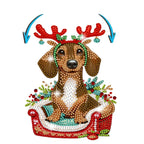 Moving Dog in Basket | Diamond Painting