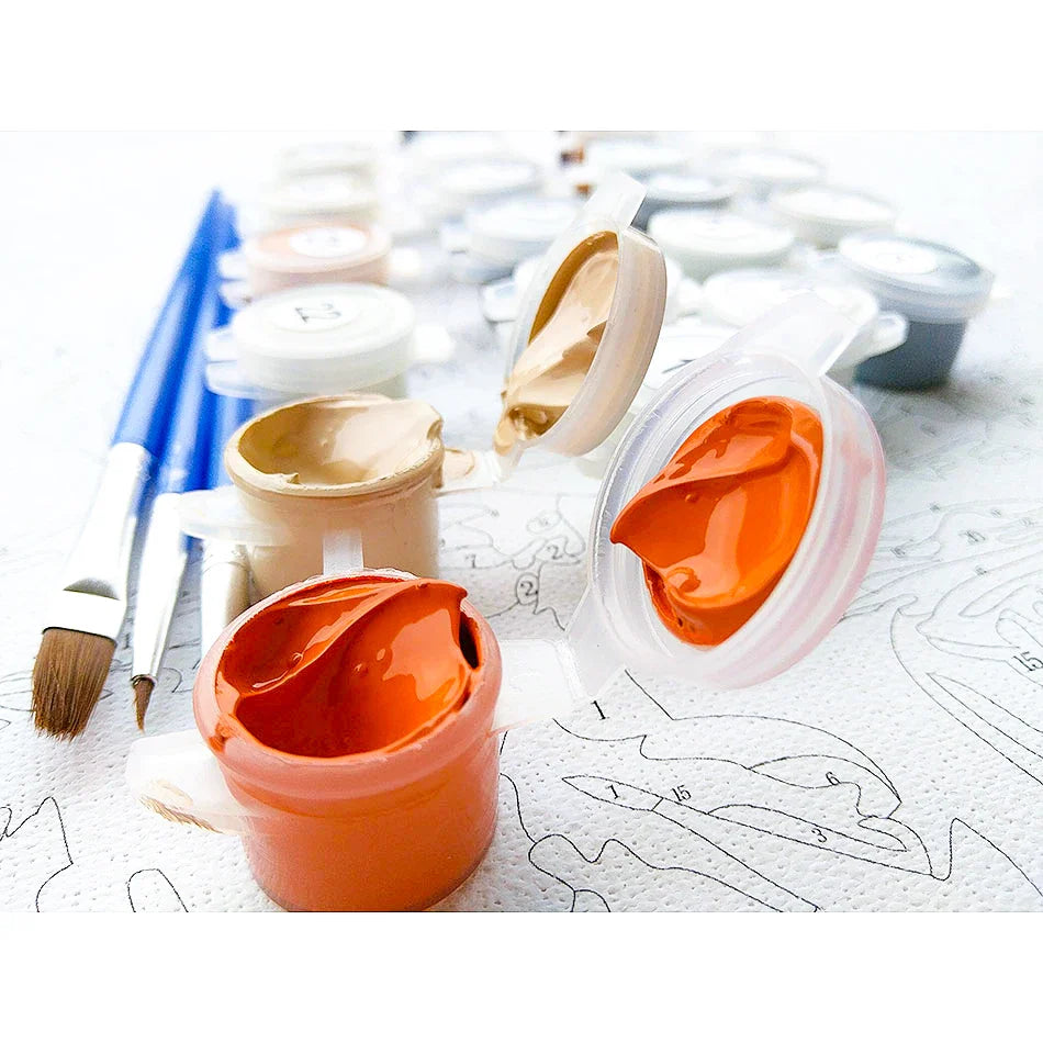 Pink roses | Paint by Numbers