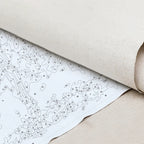 Clownfish | Paint by Numbers