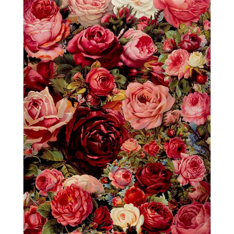 Zee van roses | Paint by Numbers