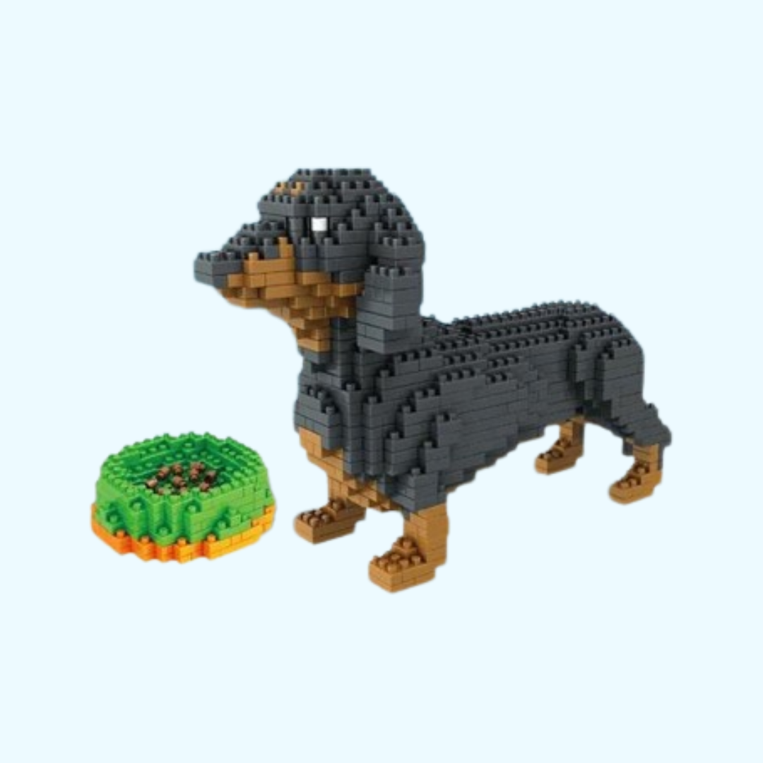 Miniature Dachshund | Building Blocks