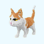 Cat | Building Blocks