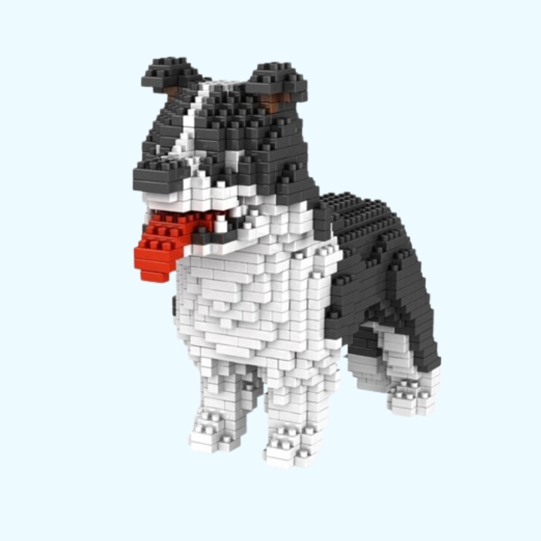 Border Collie | Building Blocks