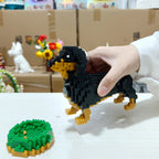 Miniature Dachshund | Building Blocks