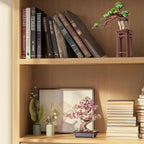 Bonsai Sapling | Wooden Construction Kits