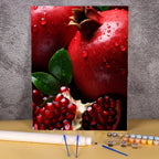 Pomegranate | Paint by Numbers