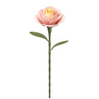 Rosette | Wooden Construction Kits