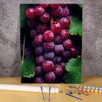 Grapes | Paint by Numbers