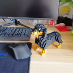 Miniature Dachshund | Building Blocks
