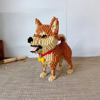 Shiba | Building Blocks