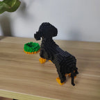 Miniature Dachshund | Building Blocks