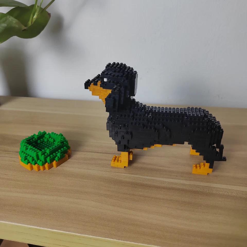 Miniature Dachshund | Building Blocks