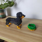 Miniature Dachshund | Building Blocks