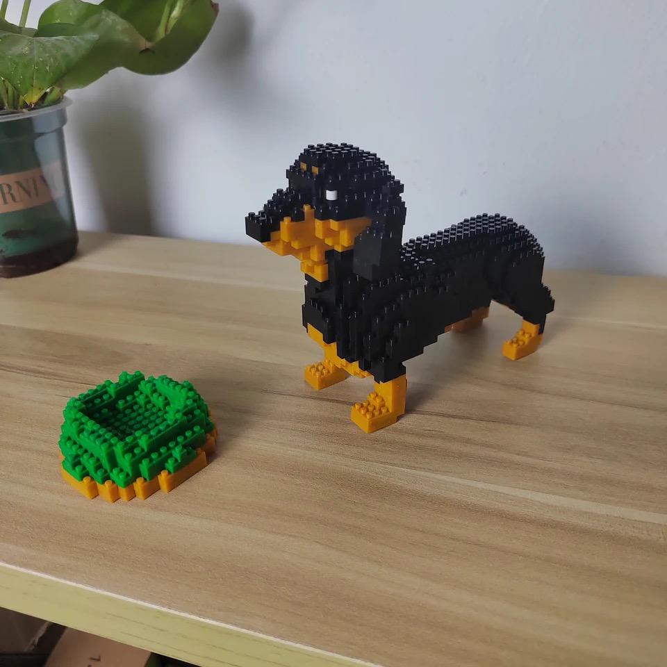 Miniature Dachshund | Building Blocks