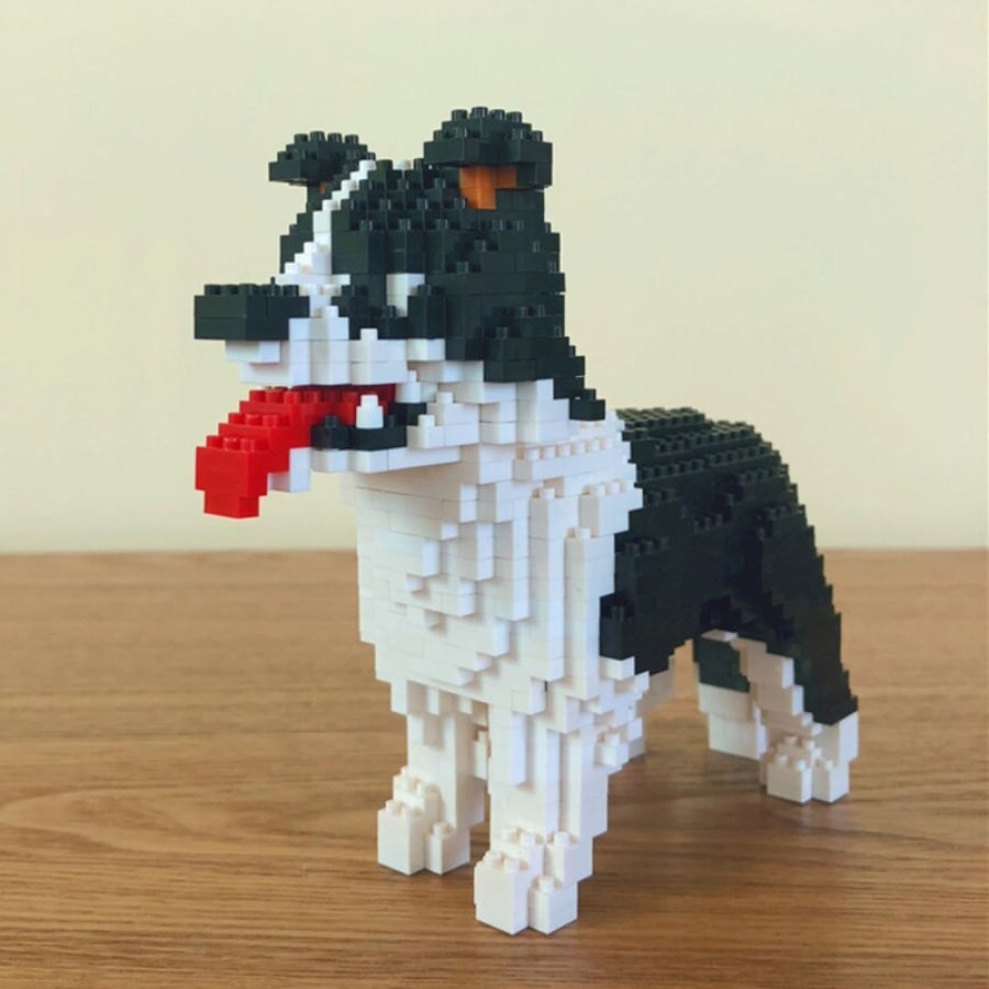 Border Collie | Building Blocks
