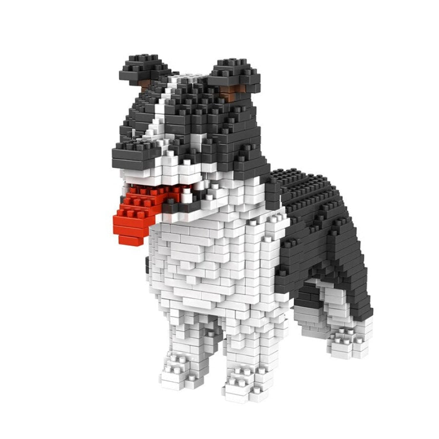 Border Collie | Building Blocks