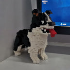 Border Collie | Building Blocks