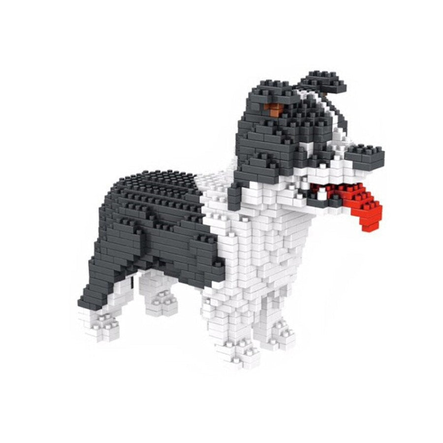 Border Collie | Building Blocks