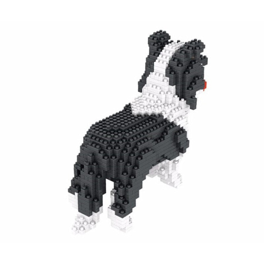 Border Collie | Building Blocks