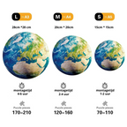 Earth | Wooden Puzzle