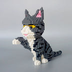 Gray Cat | Building Blocks