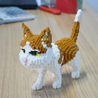 Cat | Building Blocks