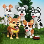 Shiba | Building Blocks