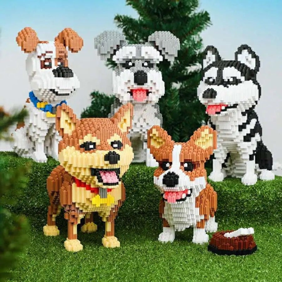 Shiba | Building Blocks