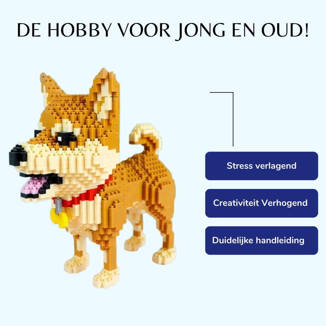 Shiba | Building Blocks