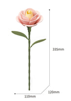 Rosette | Wooden Construction Kits