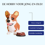 Welsh Corgi | Building Blocks